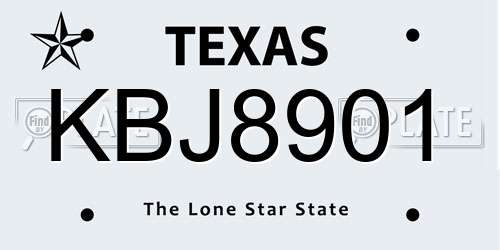 KBJ8901 Texas License Plate