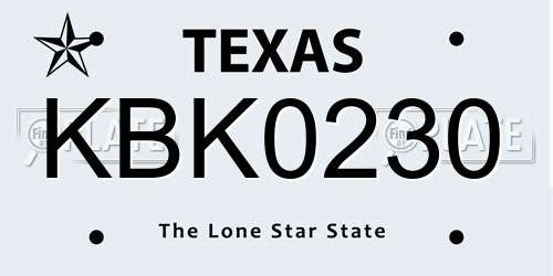 KBK0230 Texas License Plate