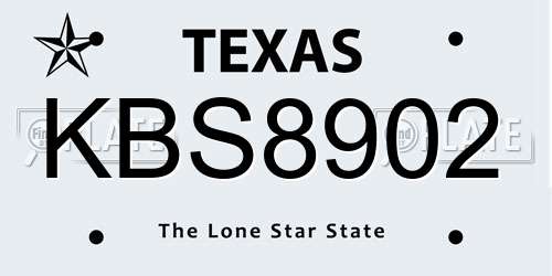 KBS8902 Texas License Plate