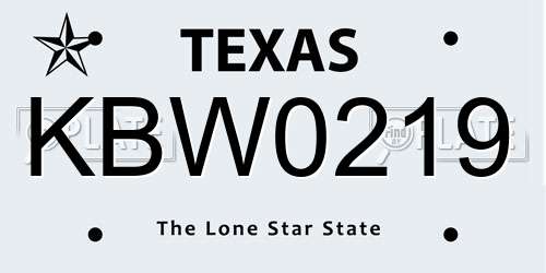 KBW0219 Texas License Plate