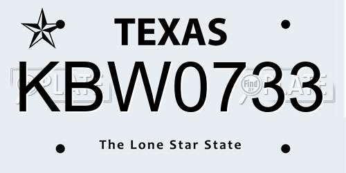 KBW0733 Texas License Plate