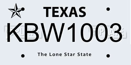 KBW1003 Texas License Plate