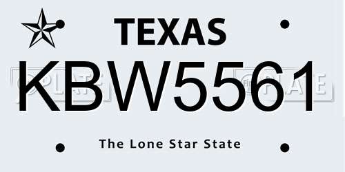 KBW5561 Texas License Plate