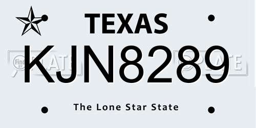 KJN8289 Texas License Plate