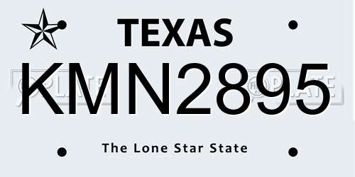 KMN2895 Texas License Plate