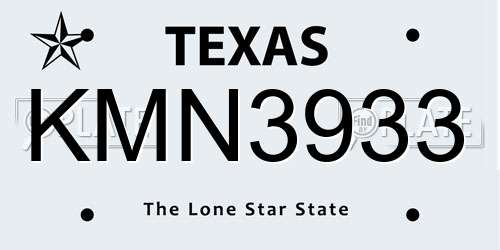 KMN3933 Texas License Plate