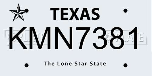 KMN7381 Texas License Plate