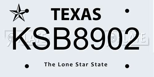 KSB8902 Texas License Plate