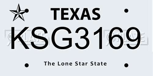 KSG3169 Texas License Plate