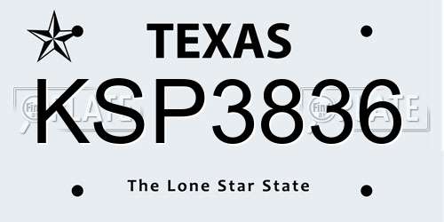 KSP3836 Texas License Plate