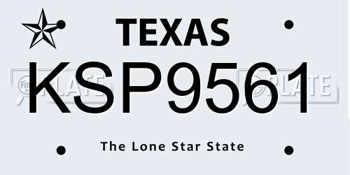 KSP9561 Texas License Plate