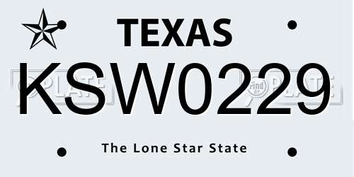 KSW0229 Texas License Plate