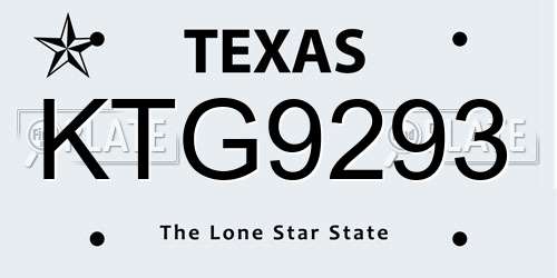 KTG9293 Texas License Plate