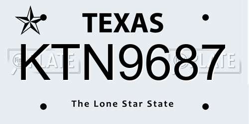 KTN9687 Texas License Plate