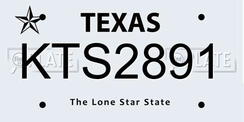 KTS2891 Texas License Plate