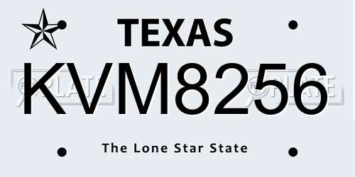 KVM8256 Texas License Plate
