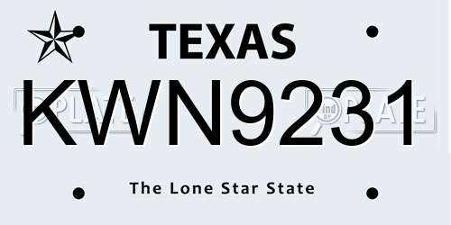 KWN9231 Texas License Plate