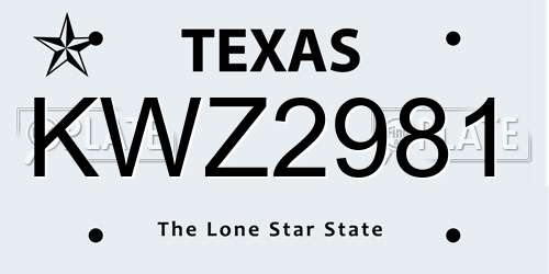 KWZ2981 Texas License Plate