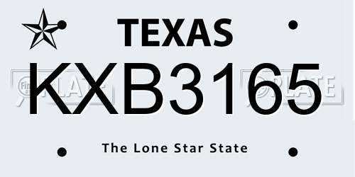 KXB3165 Texas License Plate