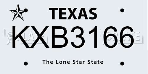 KXB3166 Texas License Plate