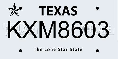 KXM8603 Texas License Plate