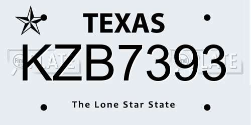 KZB7393 Texas License Plate