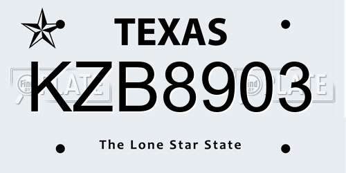 KZB8903 Texas License Plate