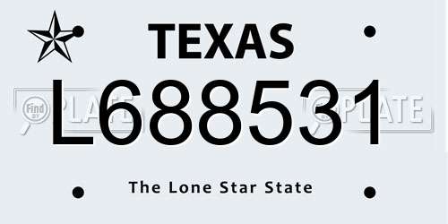 L688531 Texas License Plate