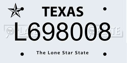 L698008 Texas License Plate