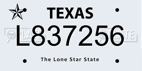 L837256 Texas License Plate