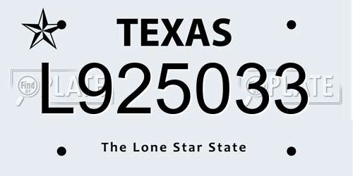 L925033 Texas License Plate