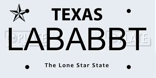 LABABBT Texas License Plate