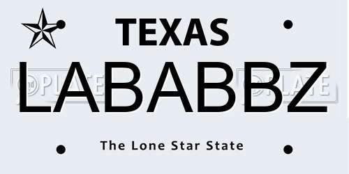 LABABBZ Texas License Plate