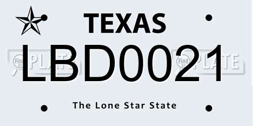 LBD0021 Texas License Plate