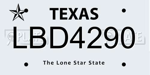 LBD4290 Texas License Plate