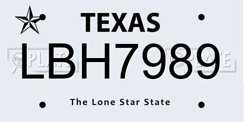 LBH7989 Texas License Plate