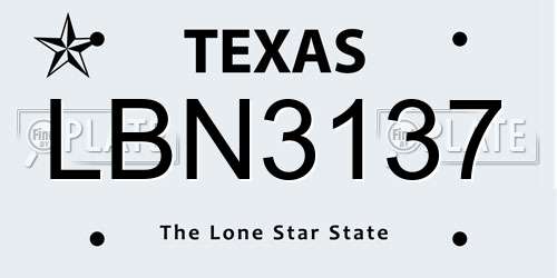 LBN3137 Texas License Plate