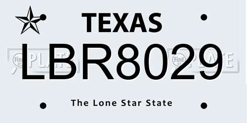 LBR8029 Texas License Plate