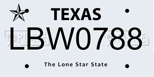 LBW0788 Texas License Plate