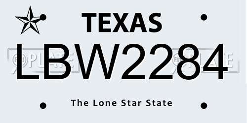 LBW2284 Texas License Plate