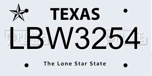 LBW3254 Texas License Plate