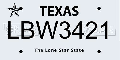 LBW3421 Texas License Plate