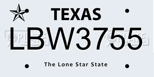 LBW3755 Texas License Plate