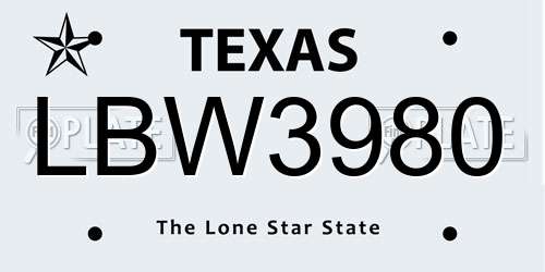 LBW3980 Texas License Plate