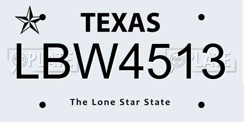 LBW4513 Texas License Plate