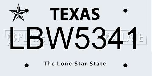 LBW5341 Texas License Plate