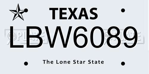 LBW6089 Texas License Plate