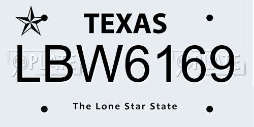 LBW6169 Texas License Plate
