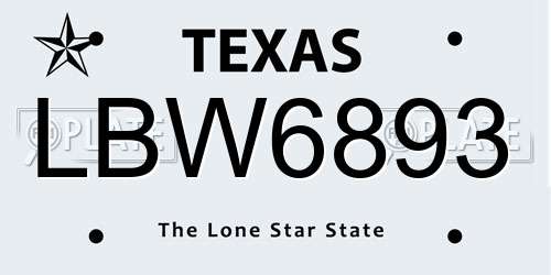 LBW6893 Texas License Plate