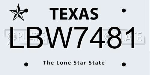 LBW7481 Texas License Plate